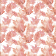 Floral Wallpaper with Red Feathers