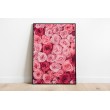 Decorative Floral Print Pink and Red Roses