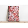 Decorative Floral Sheet - Pink Tulips