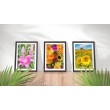 Decorative Floral Sunflower Print