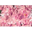 Dekorative Rosafarbene Blumenzeichnung