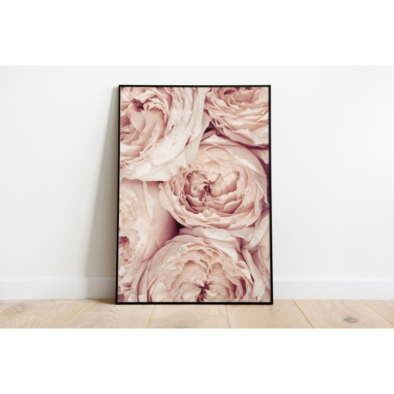Decorative Floral Print Pale Roses