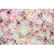 Dekorative Blumenposter mit blassen Rosen