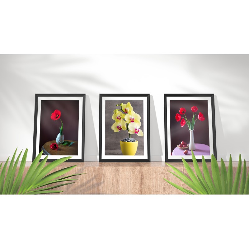 Dekorative florale Orchideen-Druc