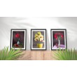 Decorative Floral Orchids Print