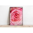 Decorative Floral Sheet Red Roses