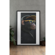 Lámina Decorativa Chimpance