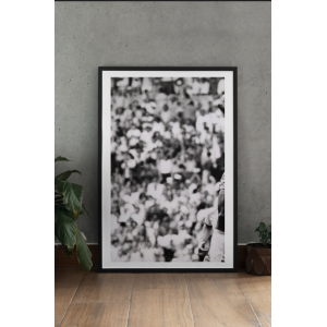 copy of Pellicola...