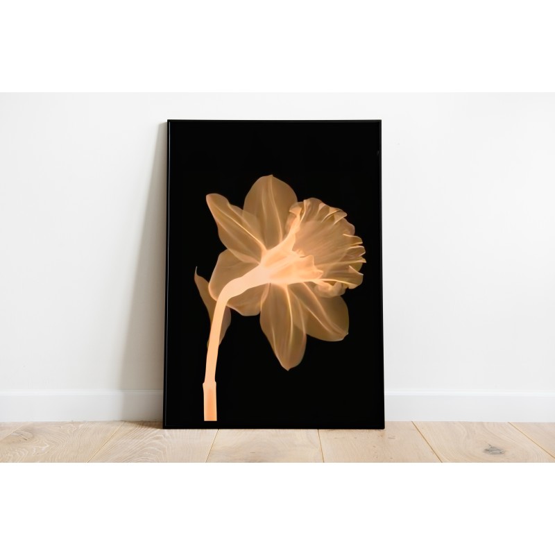 copy of Pellicola decorativa Baby Animal Friends