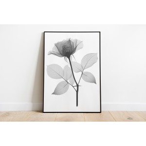 copy of Dekorative Folie...