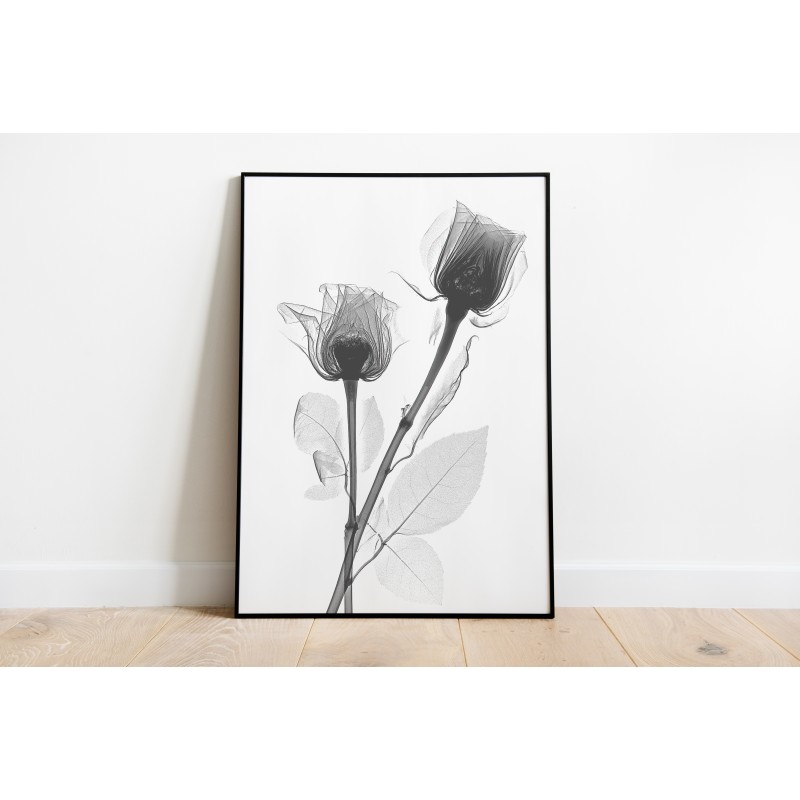 Lámina Decorativa Flores Blanco y negro