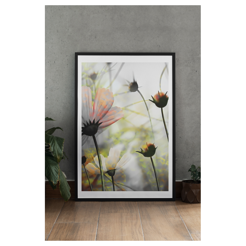 Lámina Decorativa Floral Contrapicado