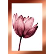 Rosa Blumen-Dekorationsblatt
