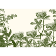 Tropical Wall Mural Organic Green