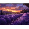 Photo Muraux Paysages Coucher De Soleil Violet