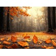Fallen Leaves Landscape Photomural