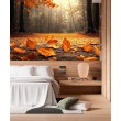 Fallen Leaves Landscape Photomural