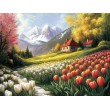 Muraux Paysage Jardin De Tulipes