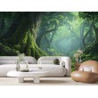 Muraux Paysage Foret Mystique