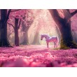 Fotomurale per Bambini Unicorno nella Foresta Incantata