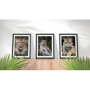 Bengal Tigers Animal Wall...