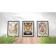 Animali Facce Feline Decorazione murale - Sweet Papaya Home