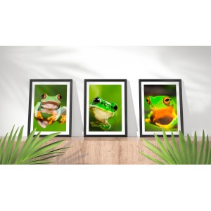 Frog Animal Wallpaper