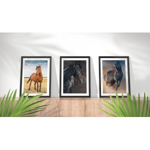 Decorative Wallpaper Horses
