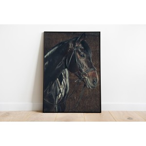 Decorative Wallpaper Horses