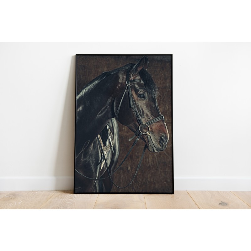 Decorative Wallpaper Horses