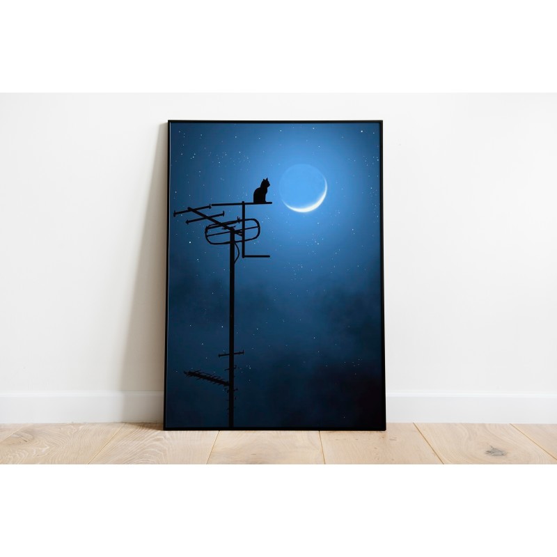 Gatti notturni Foglio decorativo