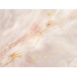 Fresque Murale en Marbre Rose Avec Détails Dorés