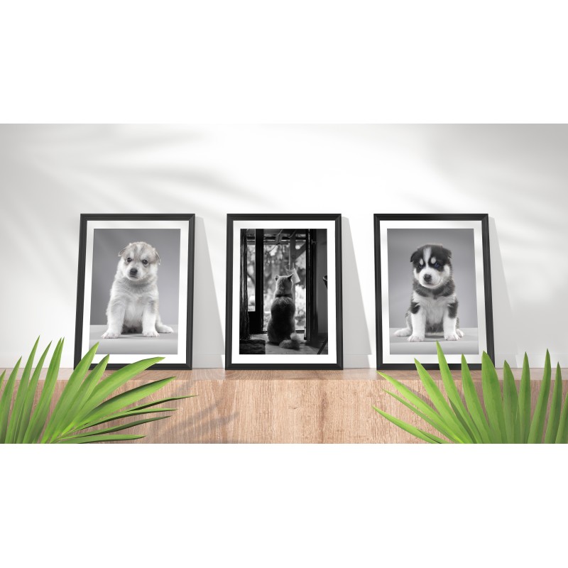 Black and White Doggy Decorative Print