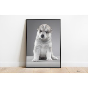 Black and White Doggy...