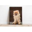 Decorative Animals Dogs Brown Background Wall Decoration