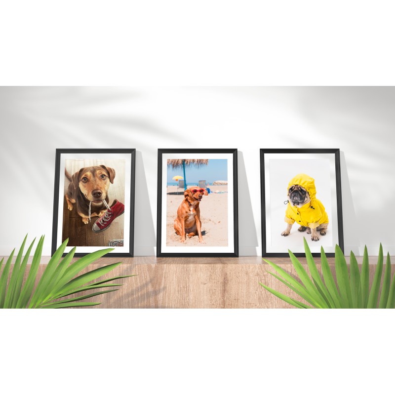 Decorative Print Animals Weather Dogs