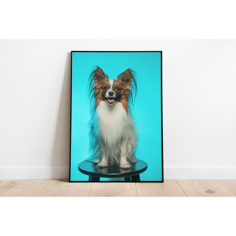 Decorative Foil Animals Puppies Funny Dogs