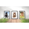 Decorative Animals Large Dogs Wall Art