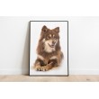 Decorative Animals Large Dogs Wall Art