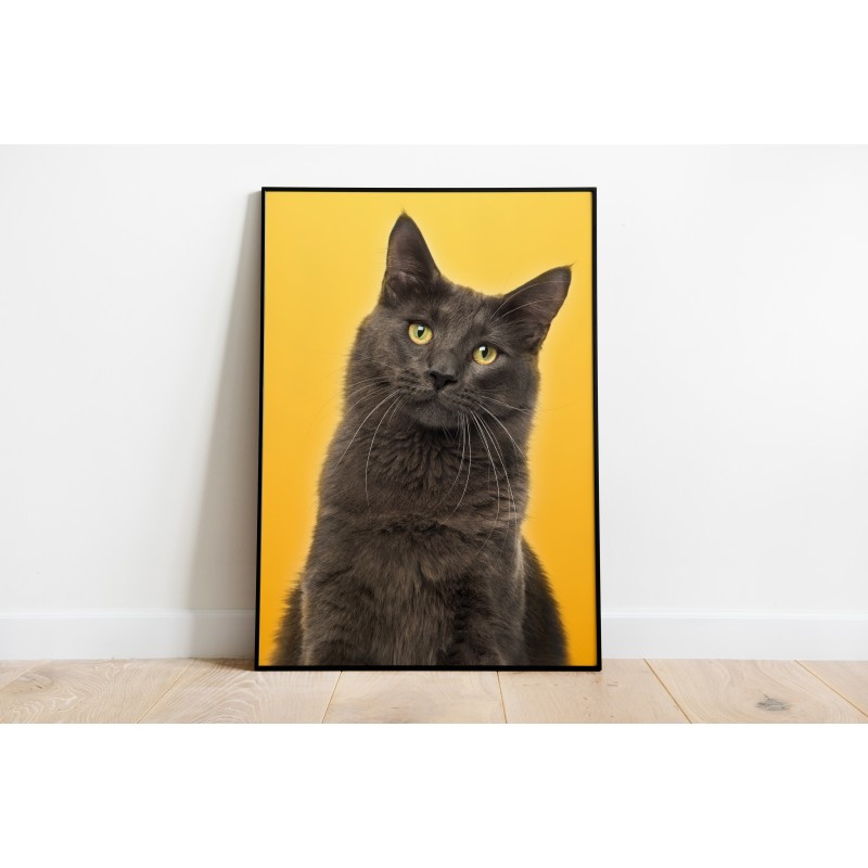 Dekorative Tiere Katzen gelber Hintergrund