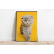 Decorative Print Animals Cats yellow background