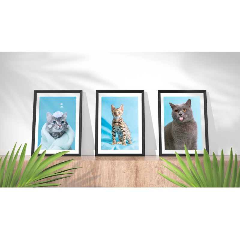 Decorative Print Animals Cats blue background