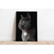 Decorative Print Animals black cat background