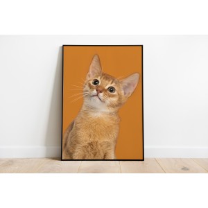 Decorative Animals Cats...