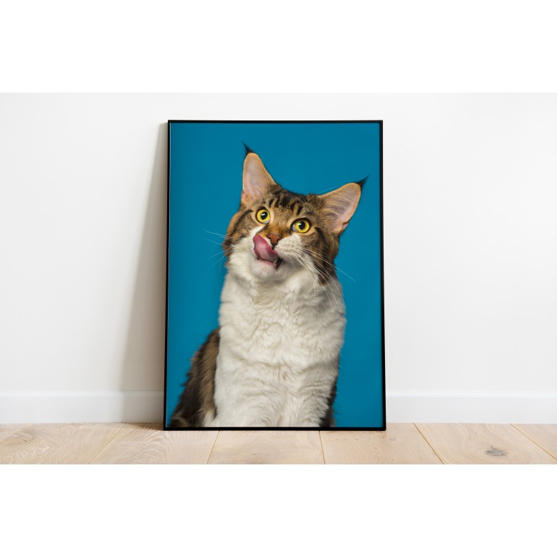 Decorative Animals Decoration Print gray background