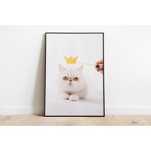 Decorative Animals Wall Art...