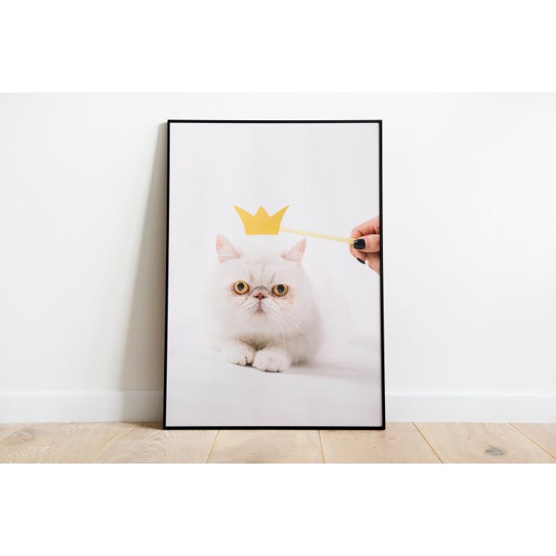 Animale decorazione murale sfondo bianco