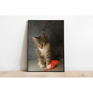 Decorative Animals Cat Love...