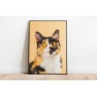 Decorative Animals Animals Cats Adorable Colorful Backgrounds Wall Decoration