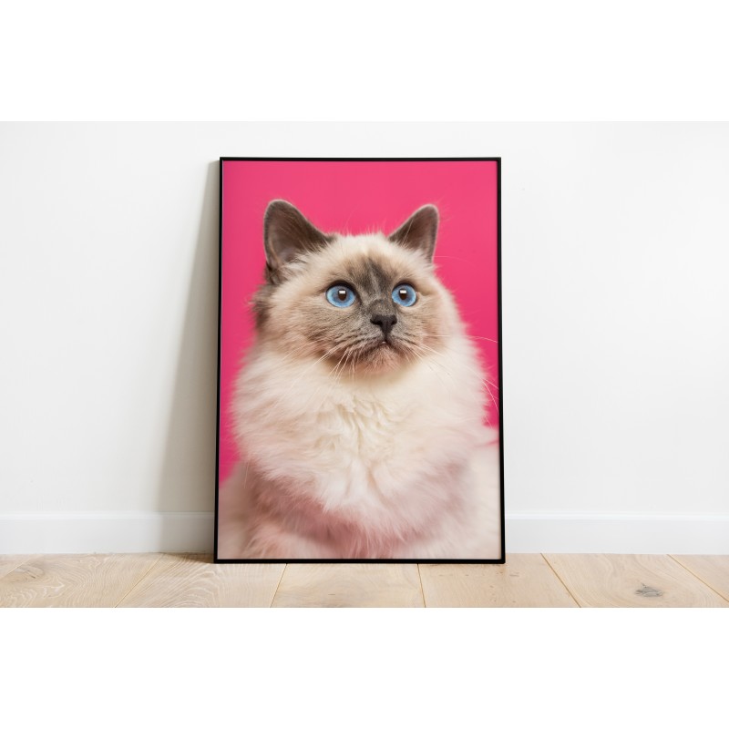 Decorative Animals Cats Hunter Animals Wall Art